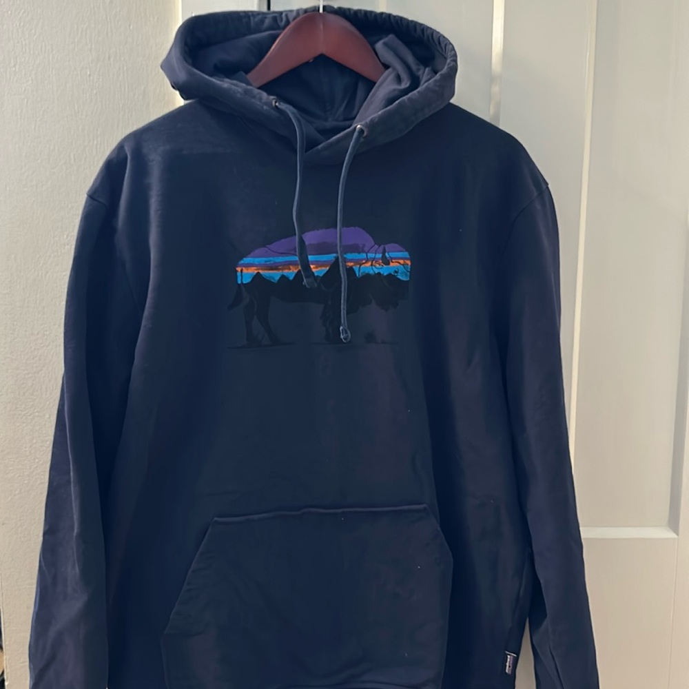 Men’s Patagonia Hoodie